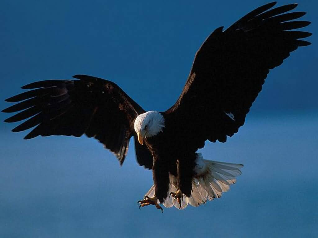 Test Image