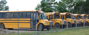 Buses