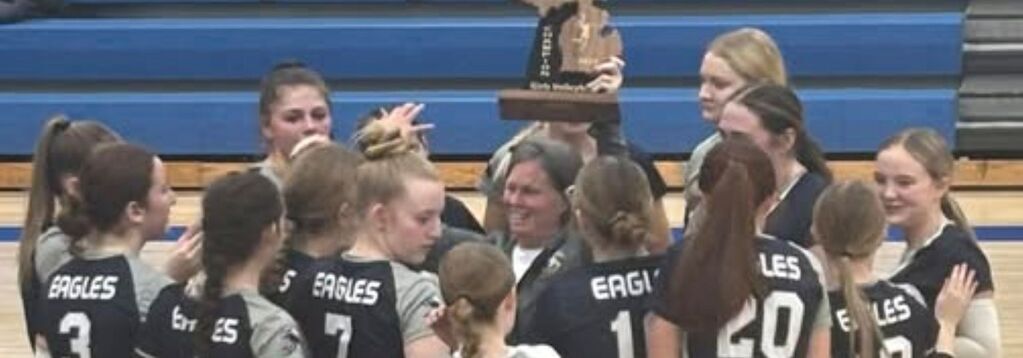 Volleyball District Champs