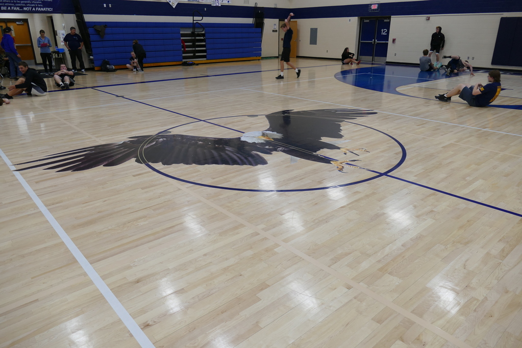 Picture of the gym floor eagle
